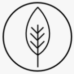 icon leaf