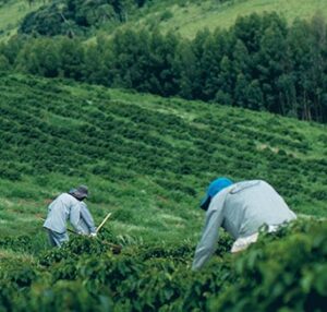 farmers