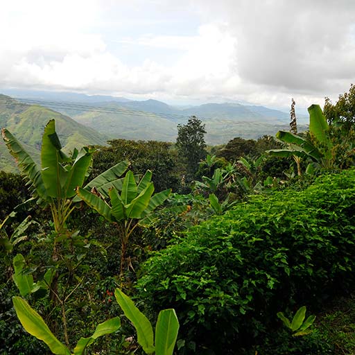 Colombia