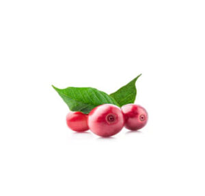 cherries