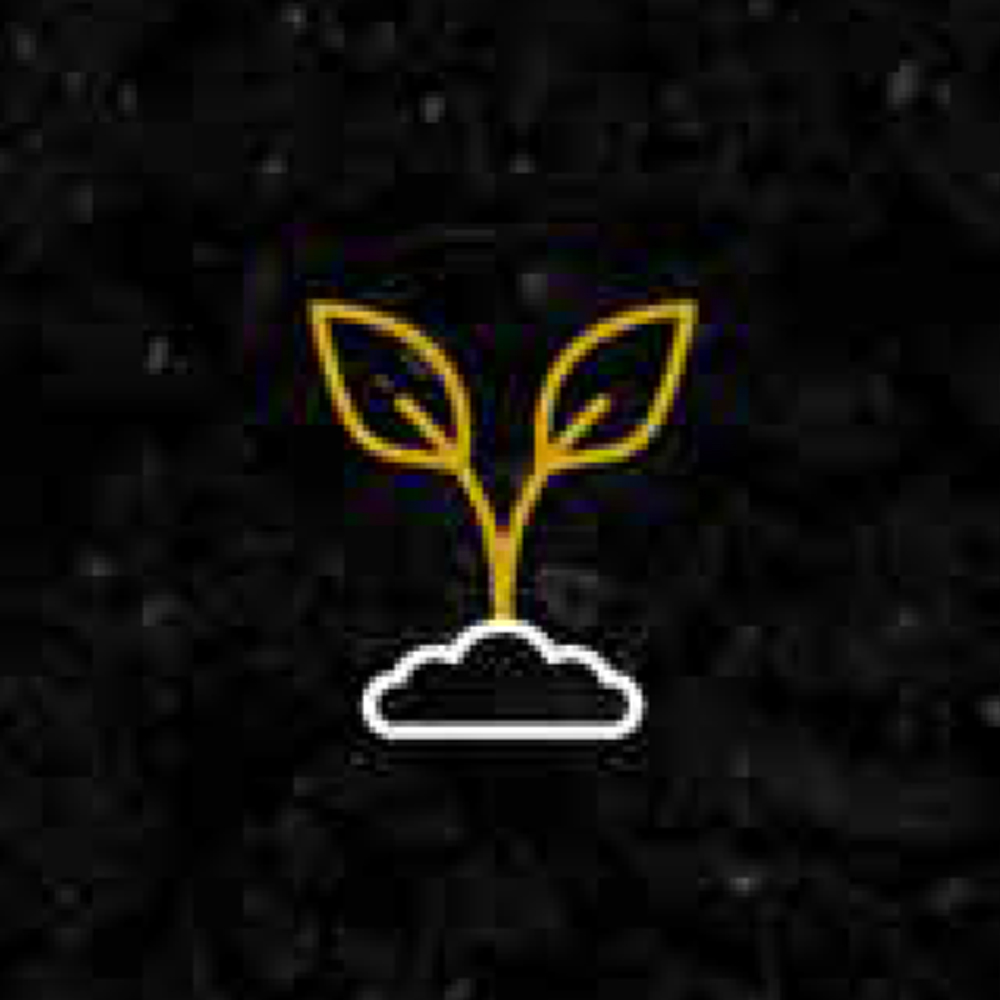 icon seed