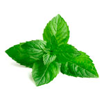 mint