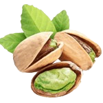 pistachio